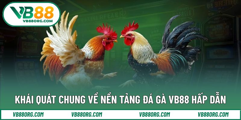 Khái quát chung về nền tảng đá gà VB88 hấp dẫn