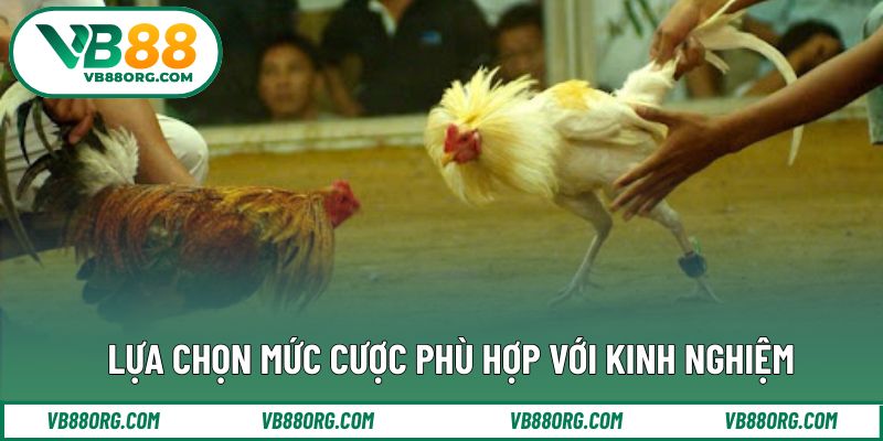 Lựa chọn mức cược phù hợp với kinh nghiệm cá cược