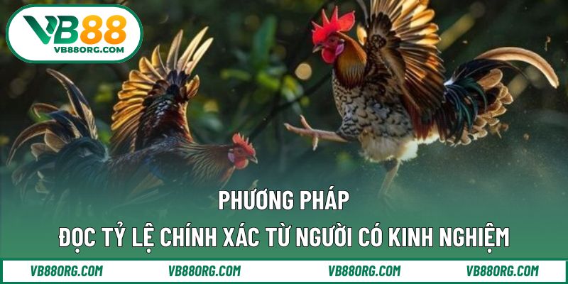 Phương pháp đọc tỷ lệ chính xác từ người có kinh nghiệm