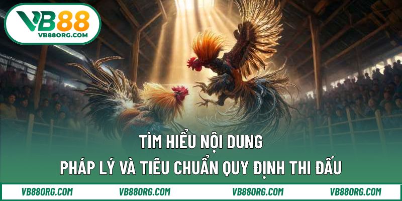 Tìm hiểu nội dung pháp lý và tiêu chuẩn quy định thi đấu