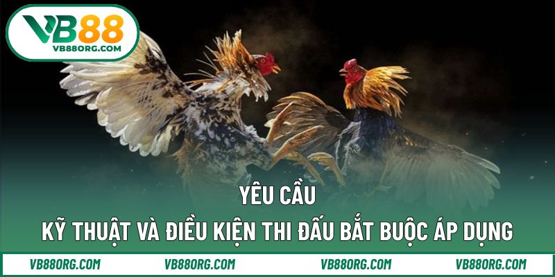 Yêu cầu kỹ thuật và điều kiện thi đấu bắt buộc áp dụng