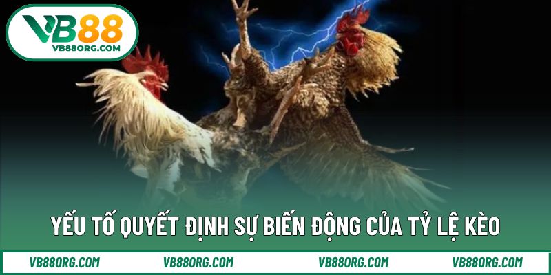 Yếu tố quyết định sự biến động của tỷ lệ kèo